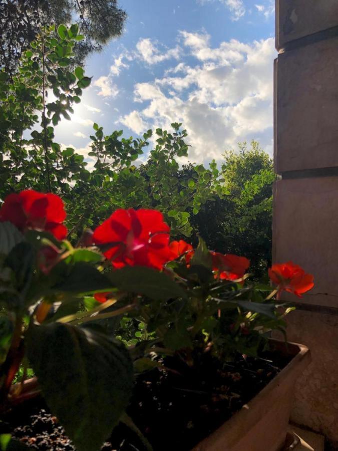 Sunone Dubrovnik 아파트 외부 사진